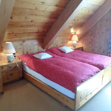 Atelier Domek alpejski Davos