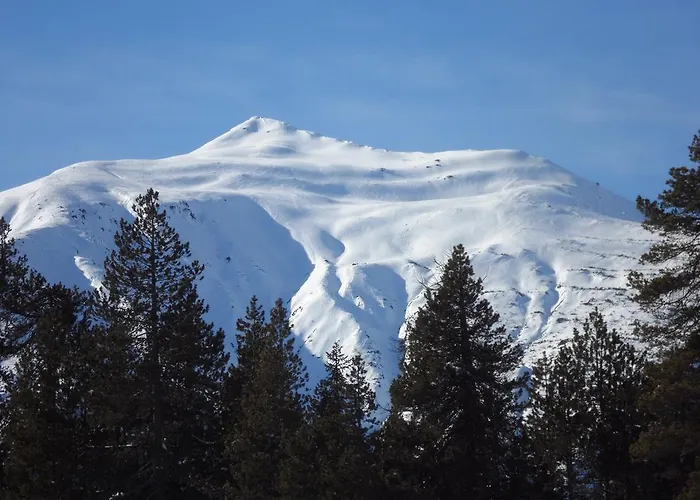 Atelier シャレー